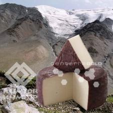 Cattle-raisers of the Issyk-Kul will learn how to make cheese