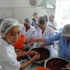 Заинтересованные жители Тонского и Джети-Огузского районов решили производить варенье, джем и соки