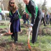 400 саженцев были посажены в парке Ата-Тюрк