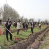400 саженцев были посажены в парке им. Ататюрка