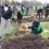400 саженцев были посажены в парке им. Ататюрка