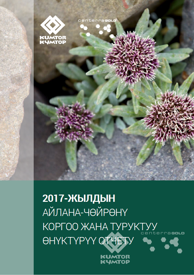 2017-жылга карата Айлана-чөйрөнү коргоо жана туруктуу өнүктүрүү боюнча отчет